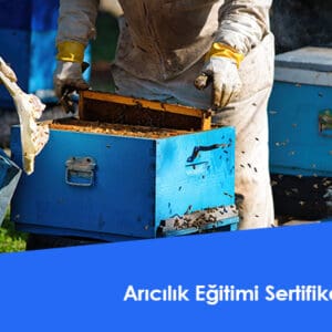 Arıcılık Eğitimi Sertifikası