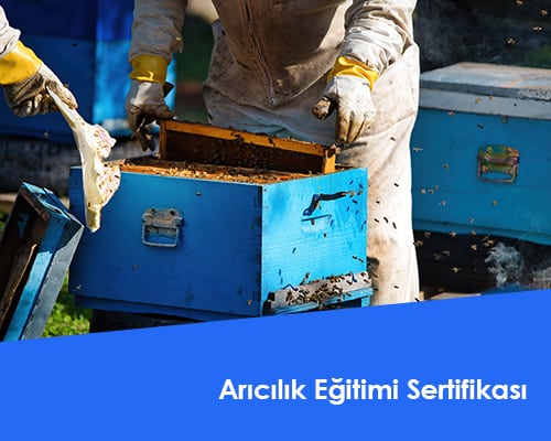 Arıcılık Eğitimi Sertifikası
