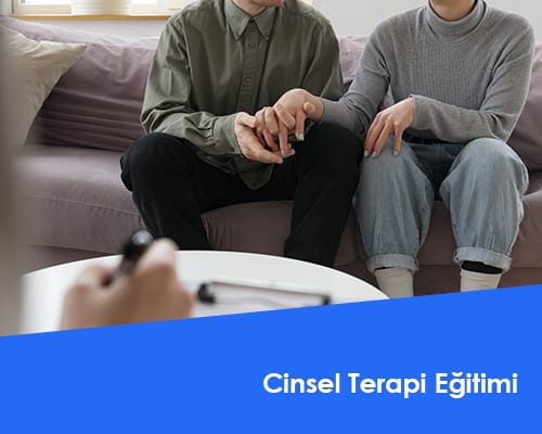 Cinsel Terapi Eğitimi