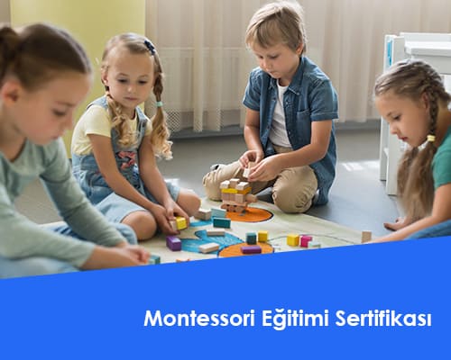 Montessori Eğitimi Sertifikası