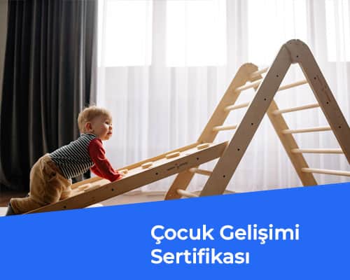 Çocuk Gelişimi Sertifikası